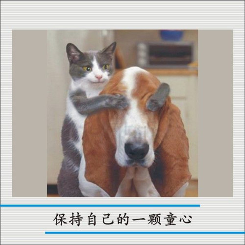 免费av影片